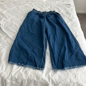 AEO chambray wide leg pants